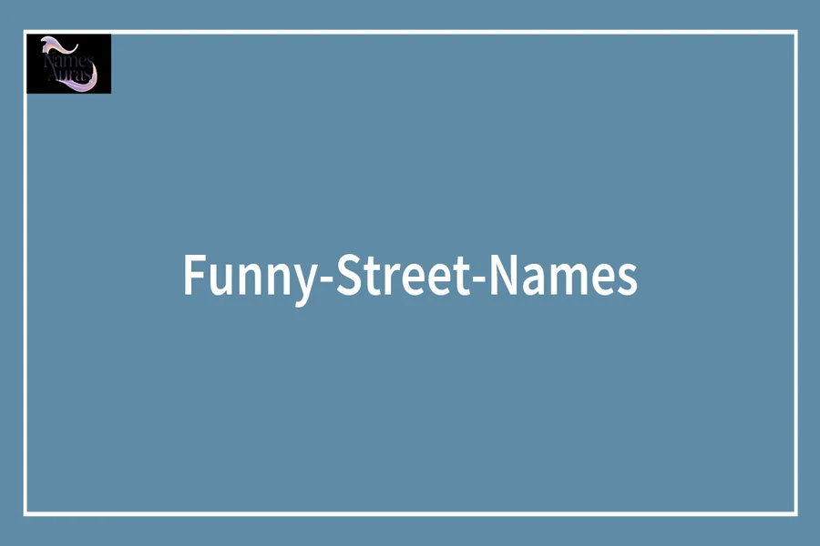 Funny Street Names