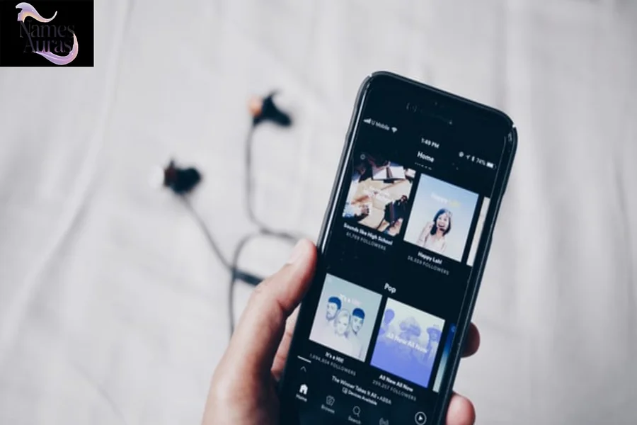 Funny Playlist Names