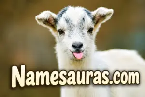 Funny Goat Names