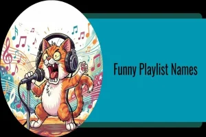 Funny Spotify Playlist Names Reddit