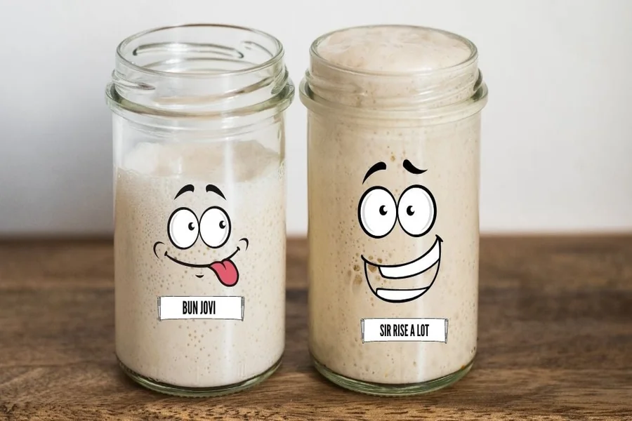 Sourdough Starter Names Funny